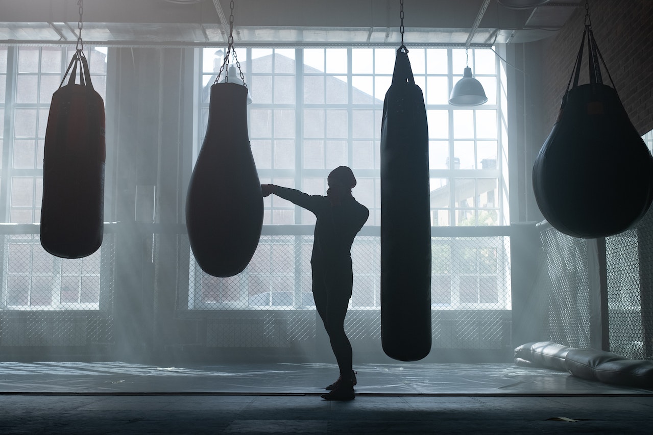 boxer punching bags